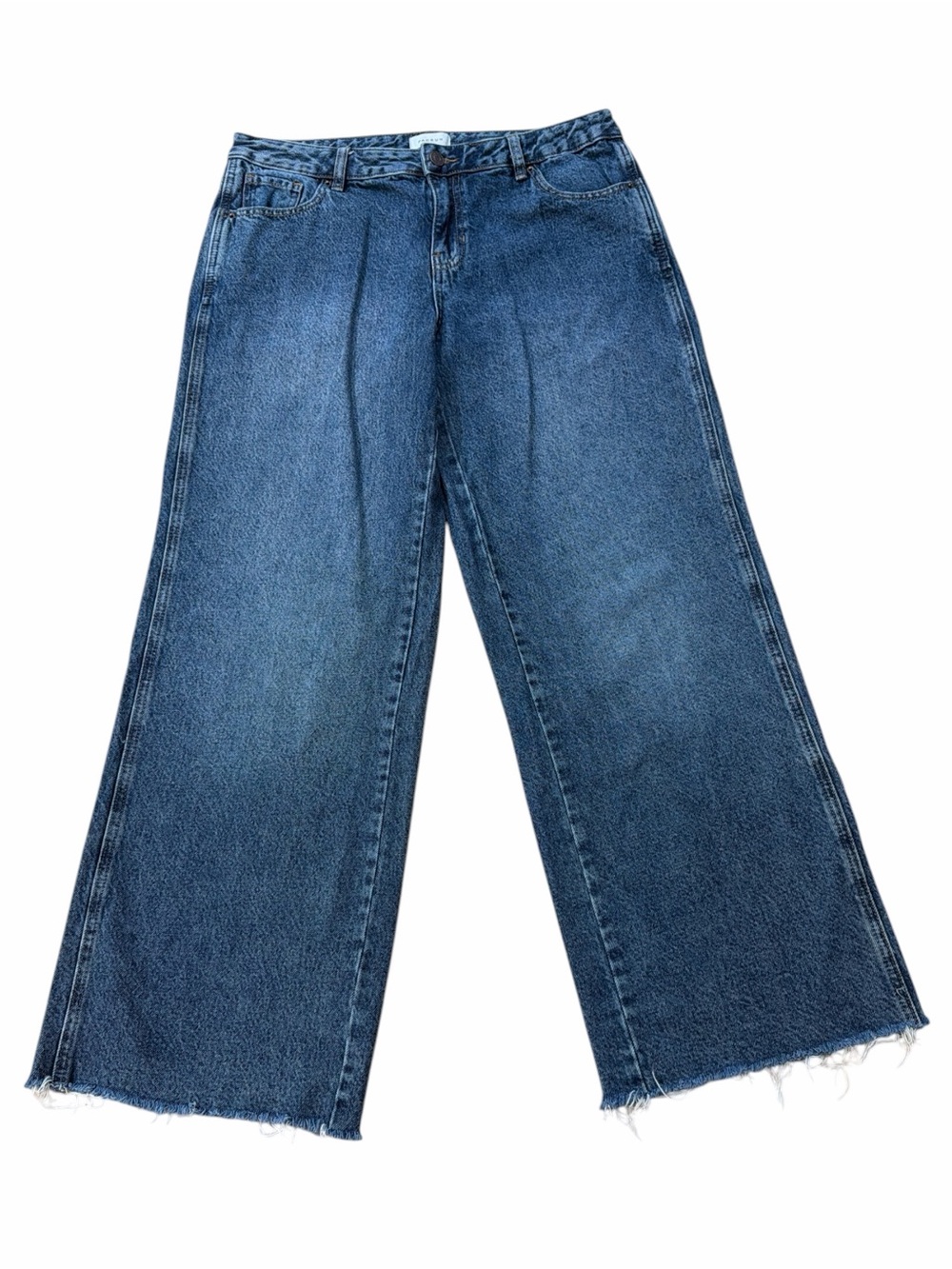 PacSun Casey Low Rise Baggy Wide Leg Jeans
